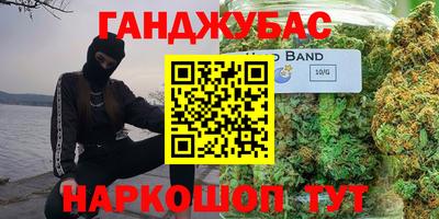 стафф Гай