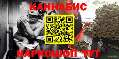 стафф Гай