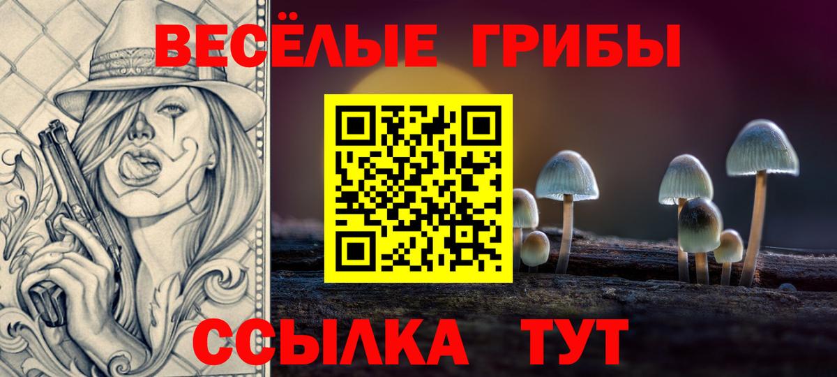 Галлюциногенные грибы MAGIC MUSHROOMS  Вход с VPN  Галлюциногенные грибы Psilocybe  где найти наркотики  Вязьма 